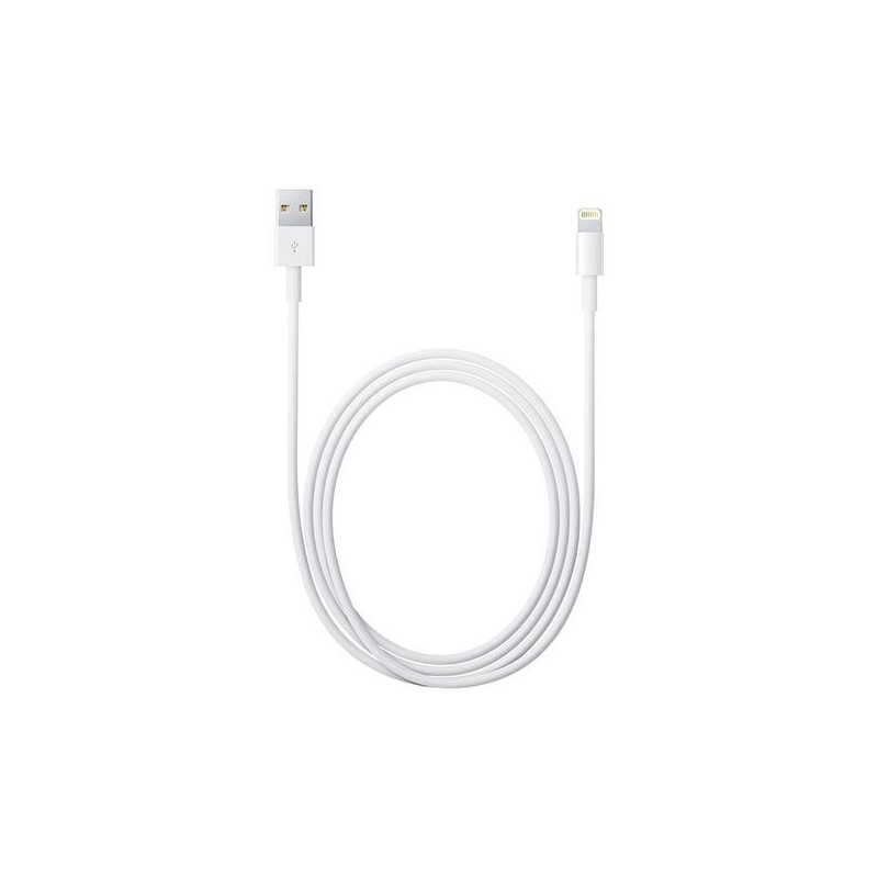 Câble Lightning vers USB (2 m) - Apple (BE)