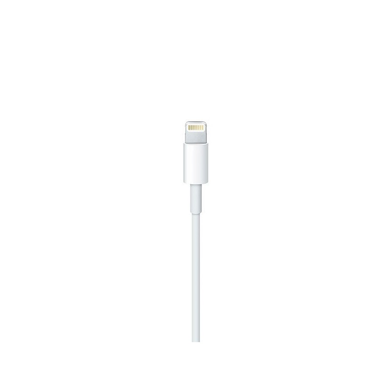 Câble Apple Lightning vers USB (2 m)