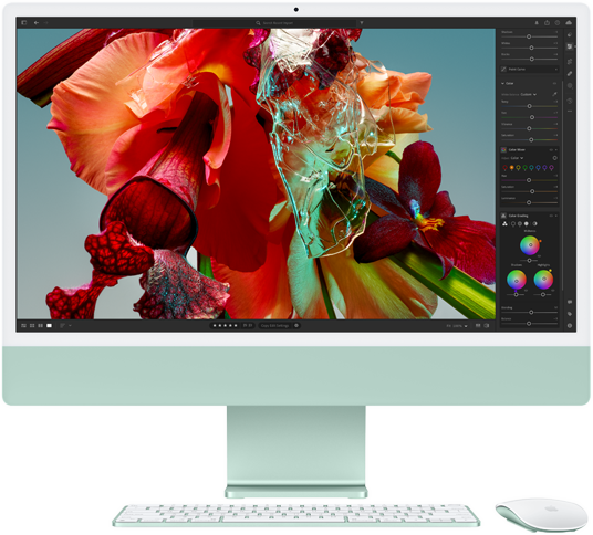 iMac affichant une fleur colorée vue dans Adobe Lightroom pour montrer la gamme de couleurs et la résolution de l’écran Retina 4,5K.
